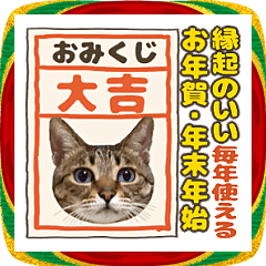 [LINEスタンプ] 猫のすたんぷ。毎年使えるあけおめ編