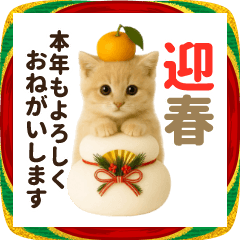 [LINEスタンプ] 毎年使える♡あけおめネコ