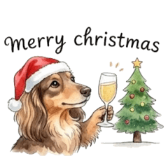 [LINEスタンプ] チョコタン りくくんのクリスマス