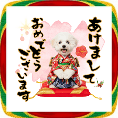 [LINEスタンプ] ビション子犬！ふわもこお正月スタンプ