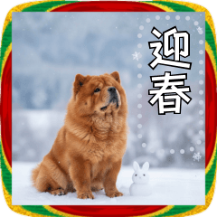 [LINEスタンプ] チャウチャウとお正月！メッセージ自由