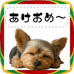 [LINEスタンプ] ヨークシャテリアとお正月！メッセージ自由