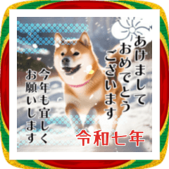 [LINEスタンプ] 飛び出す！あけおめ可愛い柴犬2026