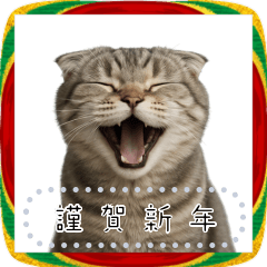 [LINEスタンプ] スコティッシュフォールドとお正月！