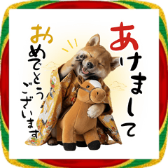 [LINEスタンプ] 動く柴犬♡あけおめ年賀状