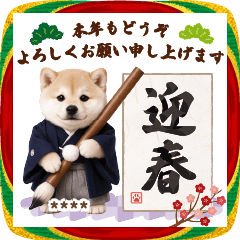[LINEスタンプ] 名入れ☆癒し柴犬の毎年使える年賀状