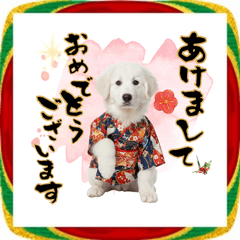 [LINEスタンプ] グレートピレニーズ♡お正月スタンプ