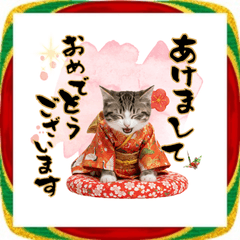 [LINEスタンプ] サイベリアン！ふわもこ子猫お正月スタンプ