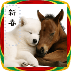 [LINEスタンプ] サモエドとお正月！メッセージ自由