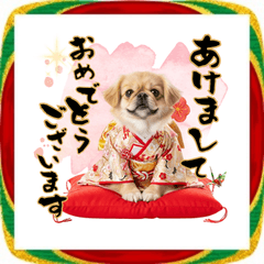 [LINEスタンプ] ペキニーズ！ふわもこ子犬のお正月スタンプ
