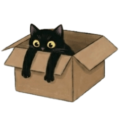 [LINEスタンプ] 黒豆猫一日の日常