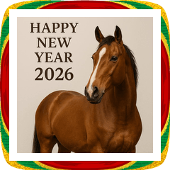 [LINEスタンプ] リアル 2026年 あけおめ 馬 年賀状