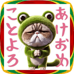 [LINEスタンプ] 毎年使えるカエルを着た猫のお正月！