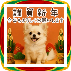 [LINEスタンプ] あけおめ！ほんわかチワワ♡