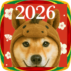 [LINEスタンプ] ウマの着ぐるみ柴犬【午年/謹賀新年】