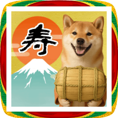 [LINEスタンプ] 毎年使える 柴犬のあけおめスタンプ