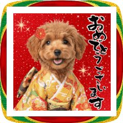 [LINEスタンプ] 笑顔で迎える2026♡お正月プードル年賀