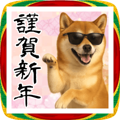 [LINEスタンプ] サングラスした柴犬 あけおめスタンプ
