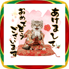 [LINEスタンプ] アメリカンカール❗️子猫のお正月あいさつ