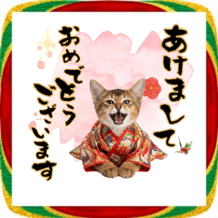 [LINEスタンプ] ソマリ子猫！華やかお正月あいさつスタンプ
