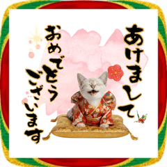 [LINEスタンプ] トンキニーズ子猫！かわいいお正月あいさつ