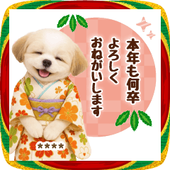 [LINEスタンプ] 名入れ☆癒しシーズーの毎年使える年賀状