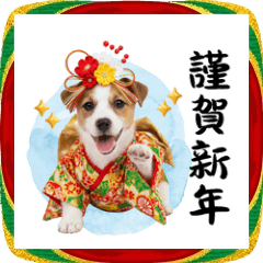 [LINEスタンプ] 笑顔で迎える2026♡お正月ジャックラッセル