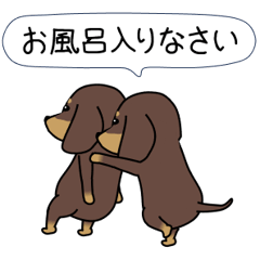 [LINEスタンプ] 激しく尻尾をふるイヌ【新年特別号】