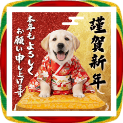 お正月】チワワの年始ごあいさつスタンプ | LINEスタンプ | hanamomo