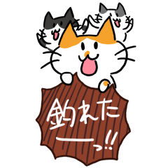 [LINEスタンプ] 釣り好き猫の、今日の釣果は？