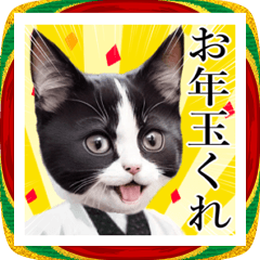 [LINEスタンプ] 和服を着たねこのお正月2026【BIG】