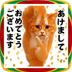 [LINEスタンプ] 踊る！今これ界隈/猫ミーム/お正月