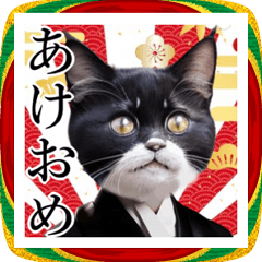 [LINEスタンプ] 和服を着たねこのお正月☆2026
