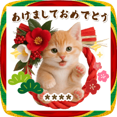 [LINEスタンプ] 名入れ☆癒しにゃんこの毎年使える年賀状