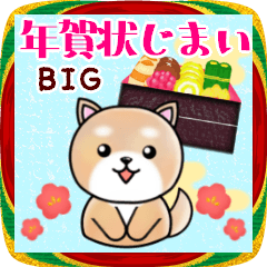 [LINEスタンプ] 年賀状じまい♥ビッグ年末年始・柴犬日和