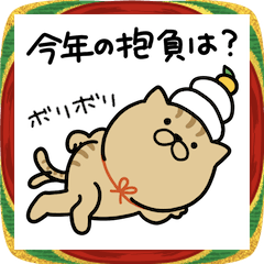 [LINEスタンプ] つかいやすいねこです。今年の抱負は？