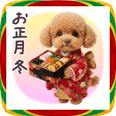 [LINEスタンプ] 毎年使える トイプードル 冬 お正月 年賀状