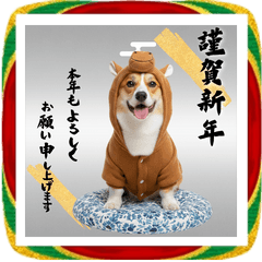 コーギーのお正月BIGスタンプ2026 | LINEスタンプ | ryota