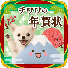 [LINEスタンプ] 癒しチワワの毎年使える年賀スタンプ