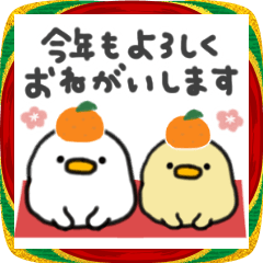 [LINEスタンプ] 年末年始も♬しろいトリ＆きいろのトリ♬