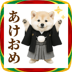 [LINEスタンプ] ▶踊る癒し柴犬（あけおめ）