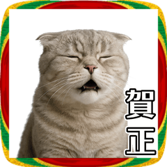 [LINEスタンプ] 午年2026スコティッシュフォールドと馬！