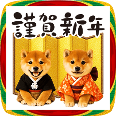 [LINEスタンプ] 【午年】飛び出す推しのこ柴犬✨愛犬年賀状