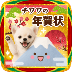 [LINEスタンプ] 飛び出る☆癒しチワワの毎年使える年賀状