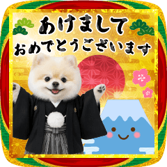 [LINEスタンプ] 飛び出る☆癒しポメラニアンの年賀状