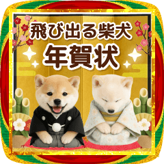 [LINEスタンプ] 飛び出る☆癒し柴犬の毎年使える年賀状