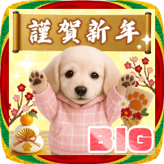 [LINEスタンプ] 【BIG】癒しダックスの毎年使える年賀状