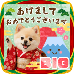 [LINEスタンプ] 【BIG】癒しポメラニアンの毎年使える年賀