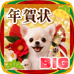 [LINEスタンプ] 【BIG】癒しチワワの毎年使える年賀状