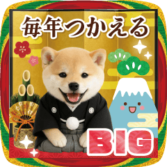 [LINEスタンプ] 【BIG】癒し柴犬の毎年使える年賀状